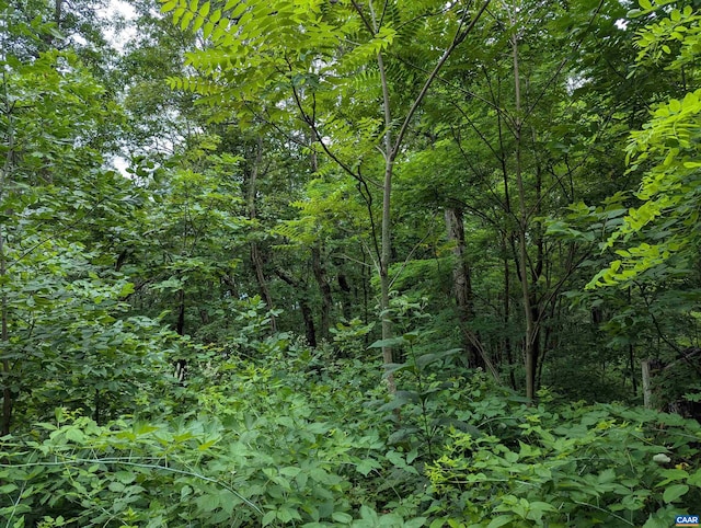 224 Cedar Dr, Roseland, VA 22958 - photo 2