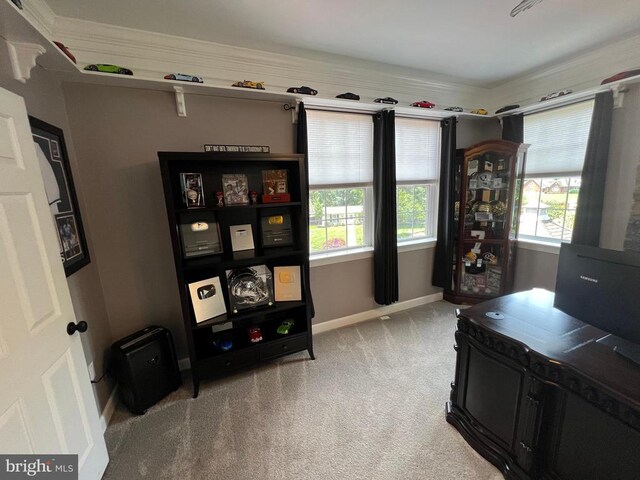 9404 Dunedin Ct, Fredericksburg, VA 22407 - photo 61