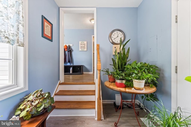 12219 Glade Dr, Fredericksburg, VA 22407 - staircase with wood finished floors