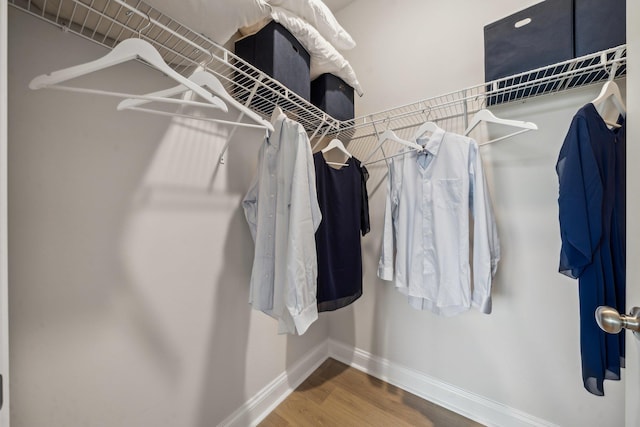 14767 Green View Dr, Elkton, VA 22827 - spacious closet with wood finished floors
