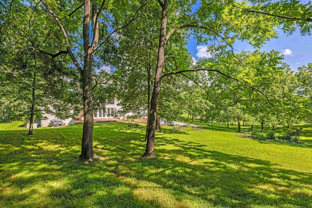296 Otts Mill Rd, Raphine, VA 24472 - photo 67