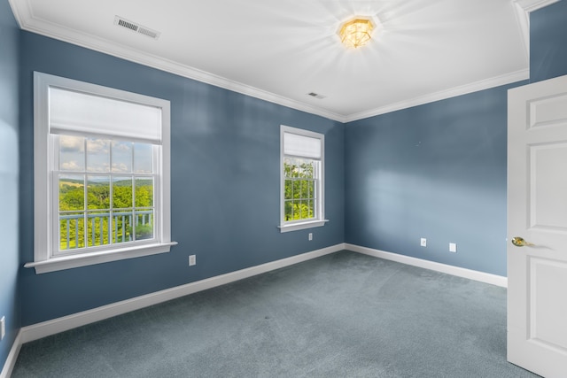 296 Otts Mill Rd, Raphine, VA 24472 - photo 50