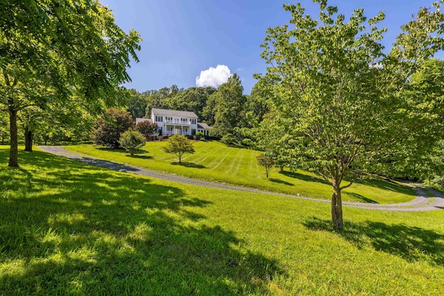 296 Otts Mill Rd, Raphine, VA 24472 - photo 4