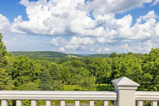 296 Otts Mill Rd, Raphine, VA 24472 - photo 45