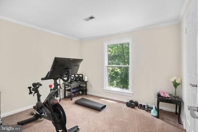 13610 Flank March Ln, Spotsylvania, VA 22551 - photo 23