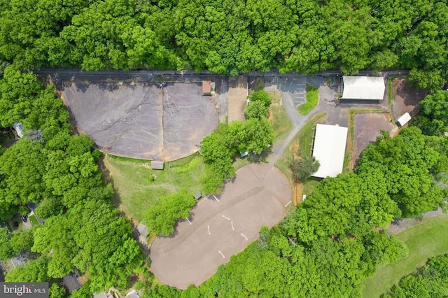 800 Mt Pleasant Dr, Locust Grove, VA 22508 - photo 50