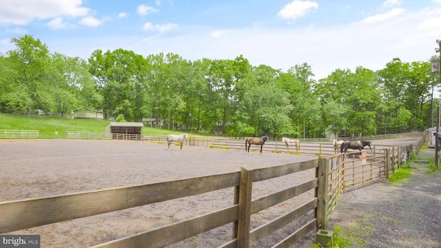 800 Mt Pleasant Dr, Locust Grove, VA 22508 - photo 43