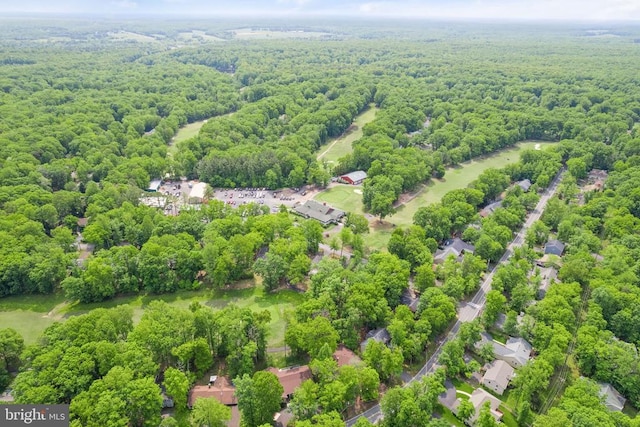 800 Mt Pleasant Dr, Locust Grove, VA 22508 - photo 55