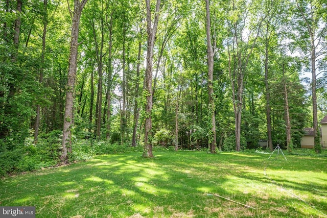 Hensley Rd, Mineral, VA 23117 - view of grassy yard featuring a view of trees