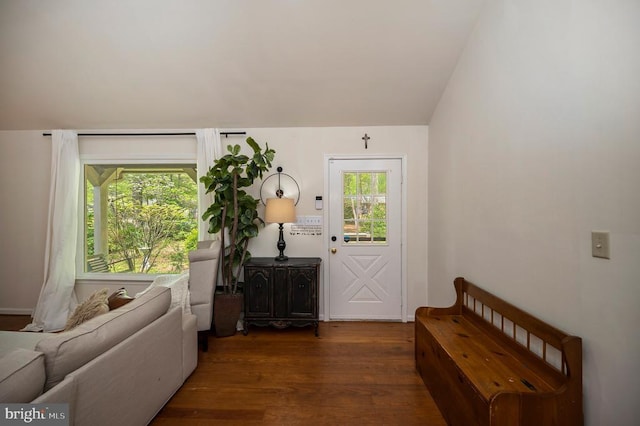 302 Gold Valley Rd, Locust Grove, VA 22508 - doorway to outside with wood finished floors