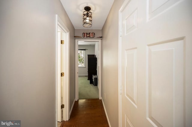 302 Gold Valley Rd, Locust Grove, VA 22508 - hallway with baseboards and dark wood finished floors