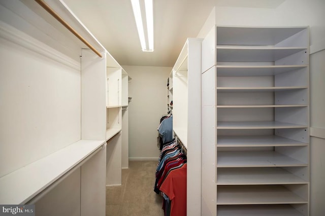 302 Gold Valley Rd, Locust Grove, VA 22508 - spacious closet with light carpet