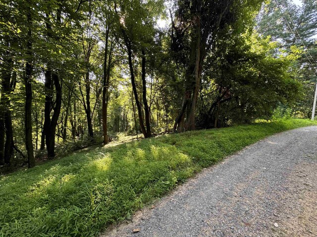 TBD Whispering Ln, Stanley, VA 22851