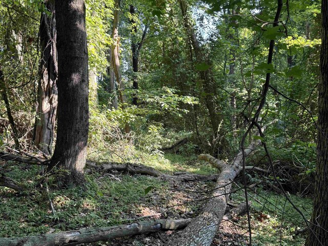 TBD Whispering Ln, Stanley, VA 22851