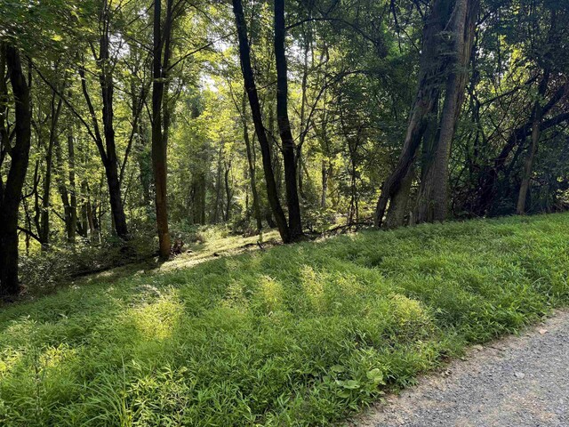 TBD Whispering Ln, Stanley, VA 22851
