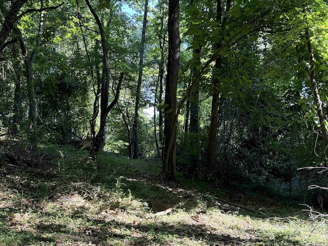 TBD Whispering Ln, Stanley, VA 22851