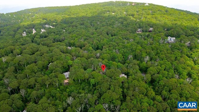 186 Hemlock Dr, Roseland, VA 22967 - photo 6