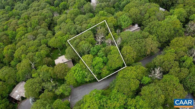 186 Hemlock Dr, Roseland, VA 22967 - photo 7