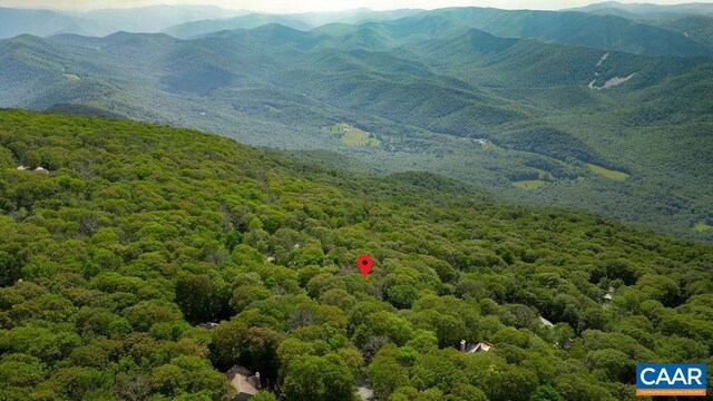 186 Hemlock Dr, Roseland, VA 22967 - photo 3