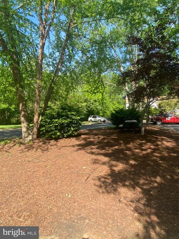 988 Towne Ln, Charlottesville, VA 22901 - view of yard