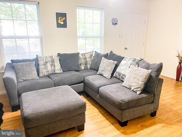 988 Towne Ln, Charlottesville, VA 22901 - living room featuring light wood-style floors, healthy amount of natural light, and baseboards