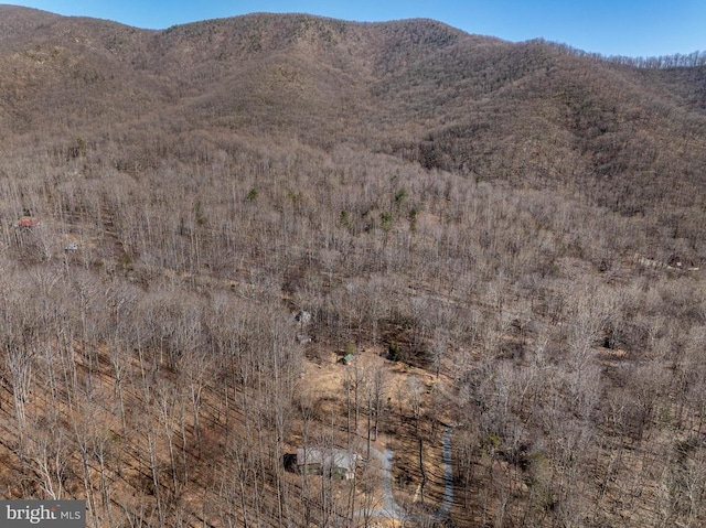 201 Chad Berry Ln, Syria, VA 22743 - mountain view