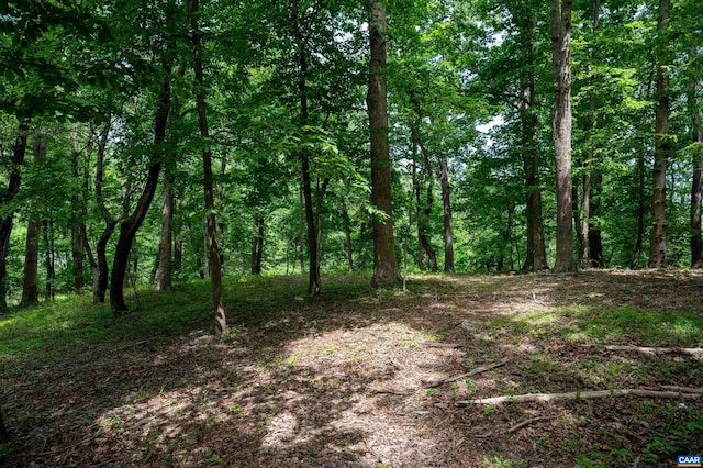 TBD Half Mile Branch Rd, Crozet, VA 22932