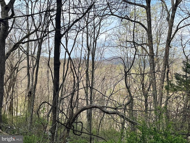 0 Hillside Dr, Stanley, VA 22851