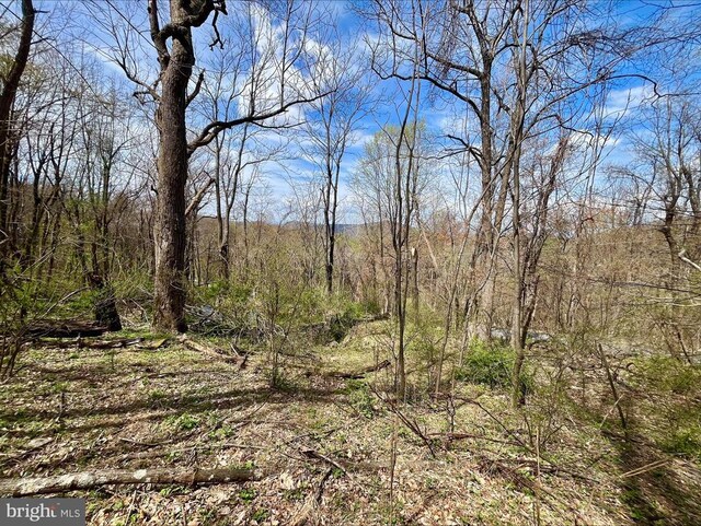 0 Hillside Dr, Stanley, VA 22851