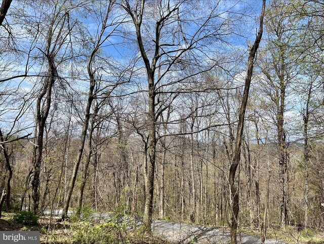 0 Hillside Dr, Stanley, VA 22851