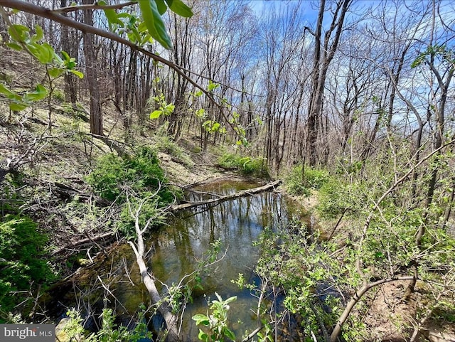 0 Hillside Dr, Stanley, VA 22851