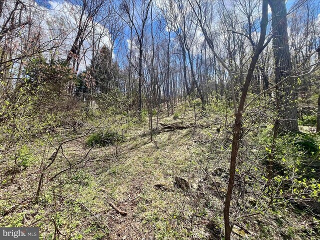 0 Hillside Dr, Stanley, VA 22851