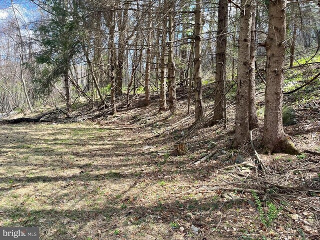 0 Hillside Dr, Stanley, VA 22851