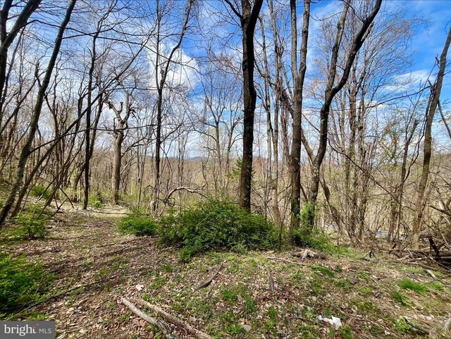 0 Hillside Dr, Stanley, VA 22851