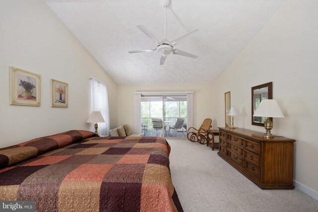 243 Campbell Ln, Mineral, VA 23117 - photo 48