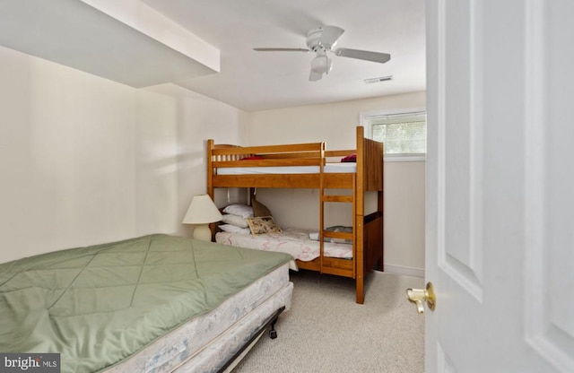 243 Campbell Ln, Mineral, VA 23117 - photo 41
