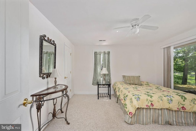 243 Campbell Ln, Mineral, VA 23117 - photo 43