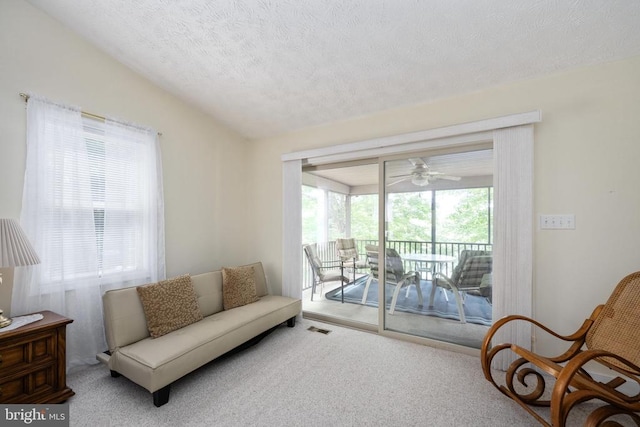 243 Campbell Ln, Mineral, VA 23117 - photo 45