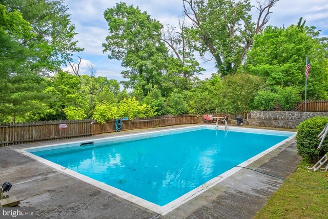 view of swimming pool