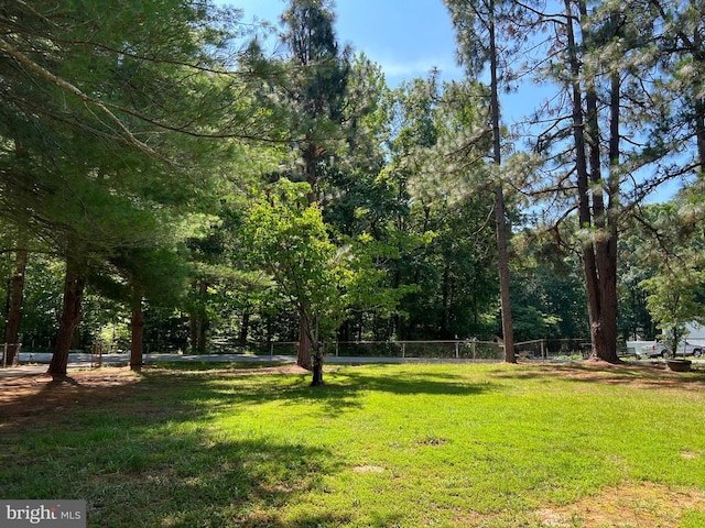 9872 Red Hill Rd, Spotsylvania, VA 22553 - view of yard