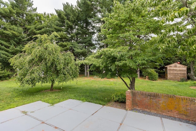 871 Kent Rd, Waynesboro, VA 22980 - view of grassy yard with a patio and a shed