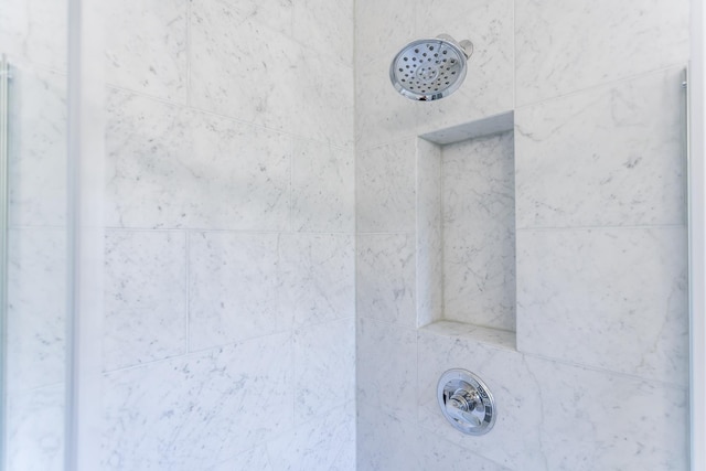 871 Kent Rd, Waynesboro, VA 22980 - bathroom view of tiled shower