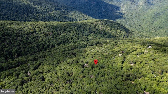 589 Pedlars Edge Dr, Roseland, VA 22967 - view of property location with a heavily wooded area and a mountain backdrop