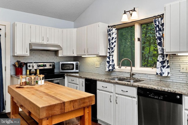 589 Pedlars Edge Dr, Roseland, VA 22967 - kitchen featuring stainless steel appliances, under cabinet range hood, a sink, lofted ceiling, and backsplash