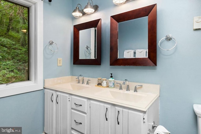 589 Pedlars Edge Dr, Roseland, VA 22967 - bathroom with double vanity, plenty of natural light, and toilet