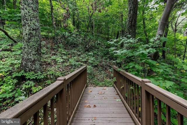 589 Pedlars Edge Dr, Roseland, VA 22967 - surrounding community featuring a wooden deck and a view of trees