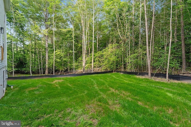 5831 Stubbs Bridge Rd, Mineral, VA 23117 - view of green lawn