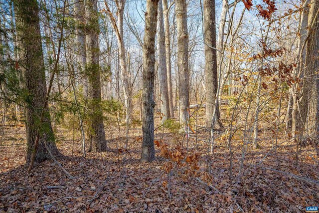 TBD Redd Shop Rd, Farmville, VA 23901