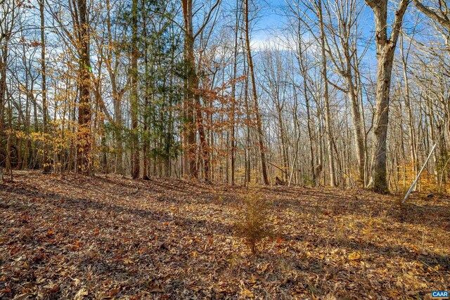 TBD Redd Shop Rd, Farmville, VA 23901