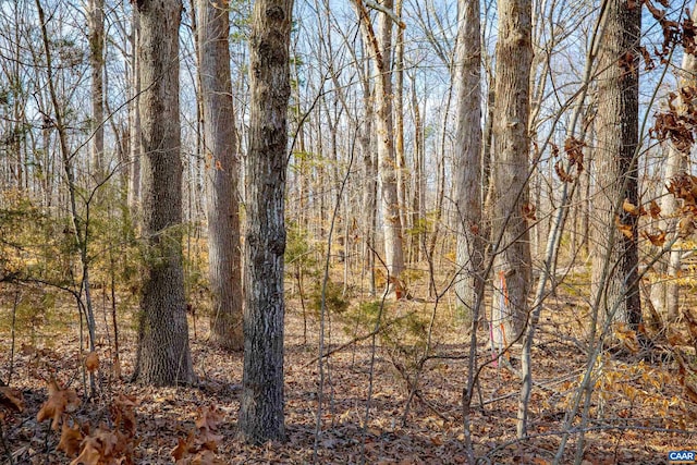 TBD Redd Shop Rd, Farmville, VA 23901